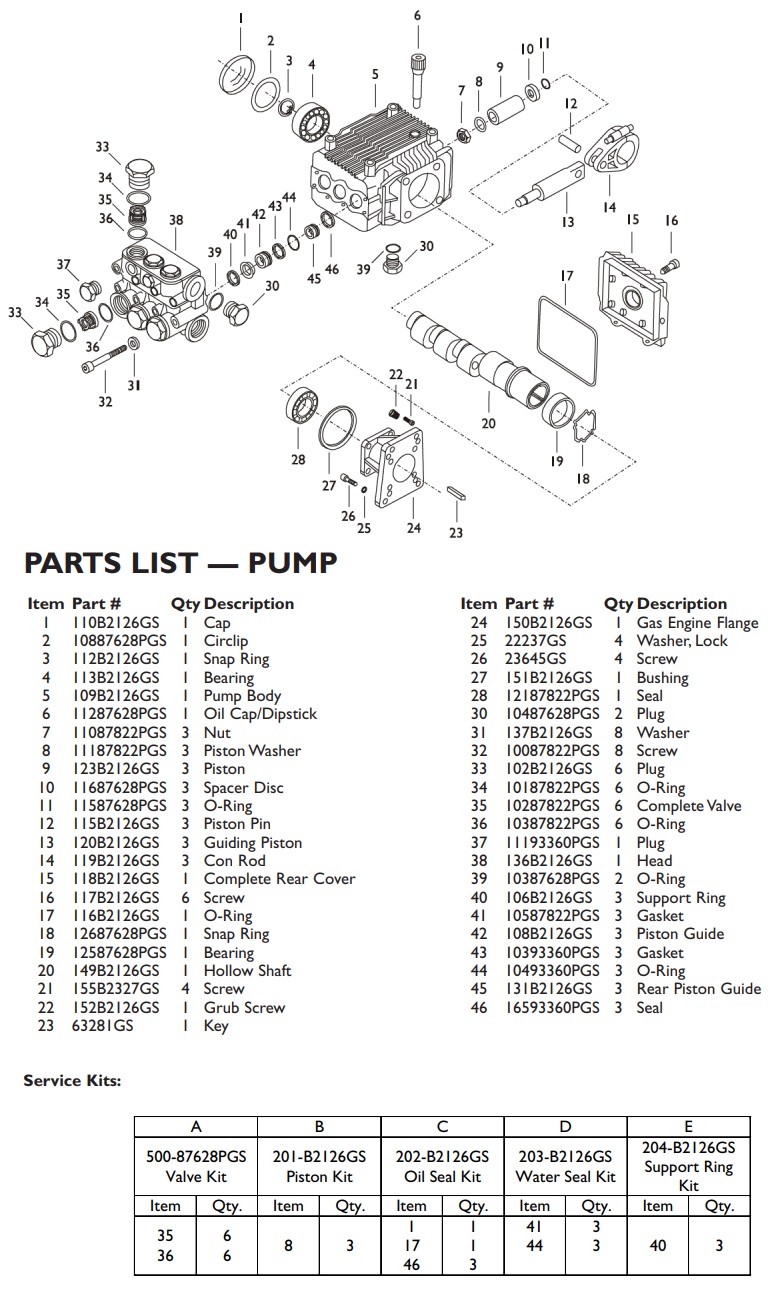 Pump repair kits for B2126GS pump